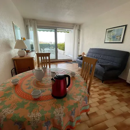 Διαμέρισμα En Bord De Avec Jardin Ideal Famille - Fr-1-328-284